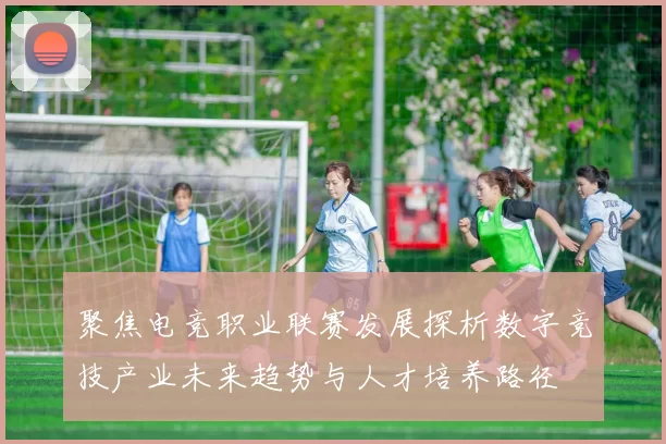 聚焦电竞职业联赛发展探析数字竞技产业未来趋势与人才培养路径