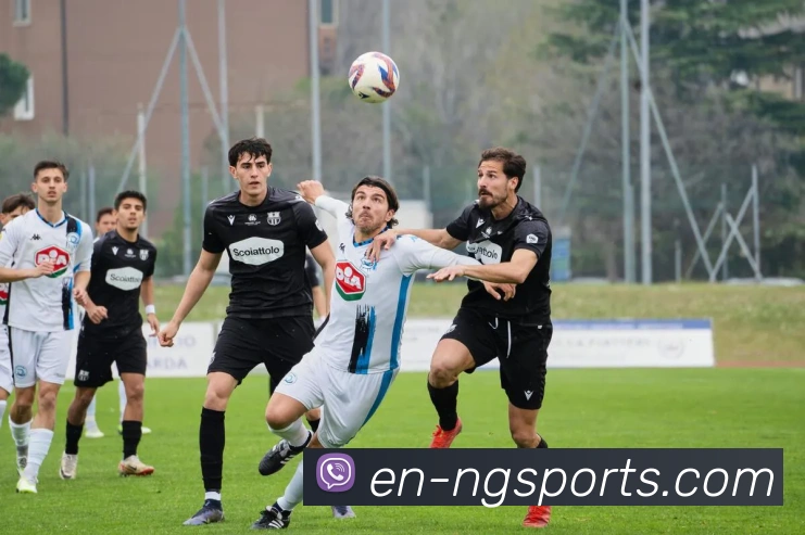 App Interface Preview