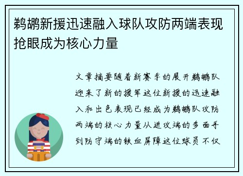 鹈鹕新援迅速融入球队攻防两端表现抢眼成为核心力量